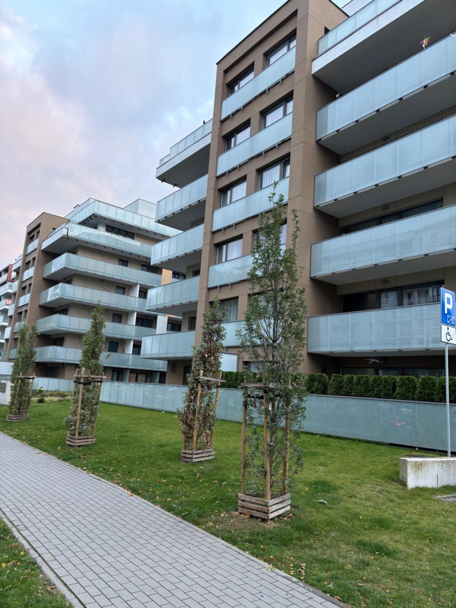 One-Bedroom Apartment,1616025702:JPEG