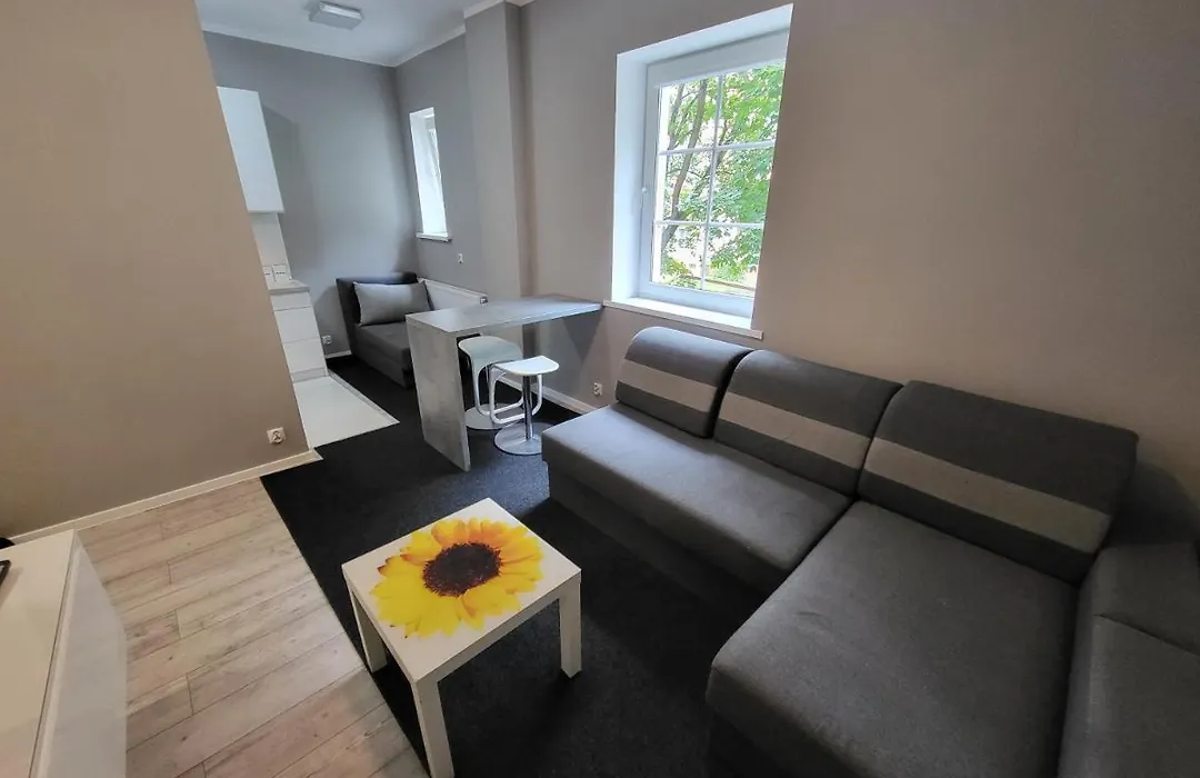 Apartament 1-1