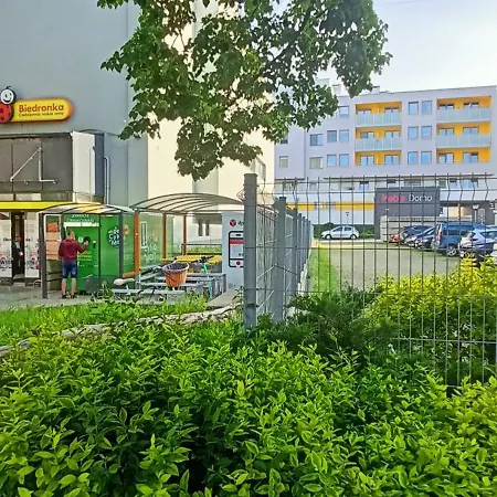 Apartament FALA-Miodowy Dom-2