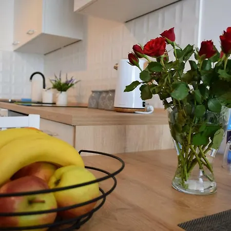Apartament Anders z Miejscem w Garażu i Rowerami-3