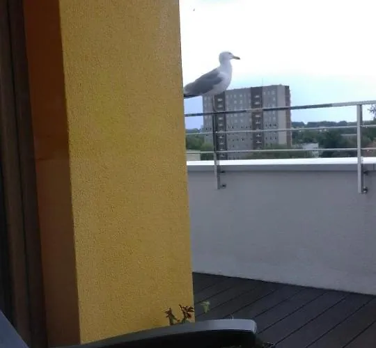 Wyśmienity Apartament Miodowy Kołobrzeg
