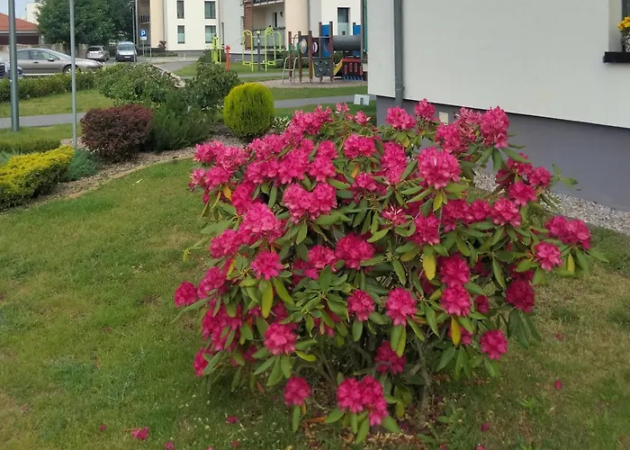 Apartament Nawigator Rybacka 12 b Kołobrzeg